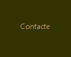contacte