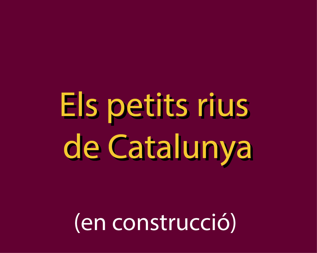 els petits rius